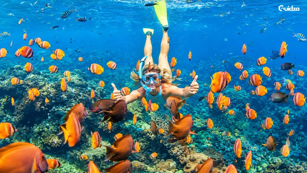 Snorkeling in Phuket